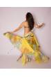 Segulah bellydance costume