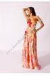 Shani bellydance costume