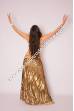 Tirza bellydance costume