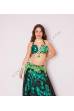Wijdan bellydance costume
