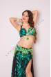 Wijdan bellydance costume