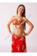 Yaminah bellydance costume