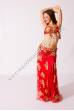 Yaminah bellydance costume