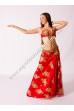 Yaminah bellydance costume