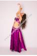 Zahie bellydance costume