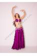 Zahie bellydance costume