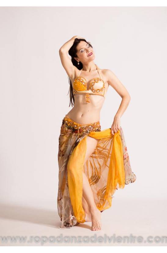Hamida bellydance costume
